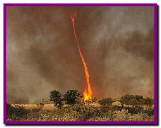 گردباد آتش.firenado.جندي شاپور البرز