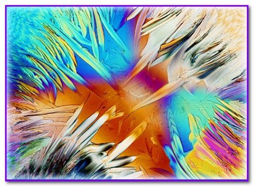 Polarized Light Digital Image Gallery1_جندي شاپور البرز_ويتامين ث .jpg